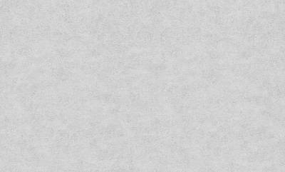 Шпалери вінілові на флізеліновій основі Bravo 81116BR09 1,06x10,05 м