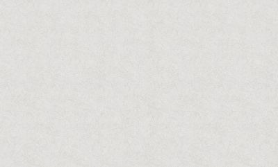 Шпалери вінілові на флізеліновій основі Bravo 81115BR00 1,06x10,05 м