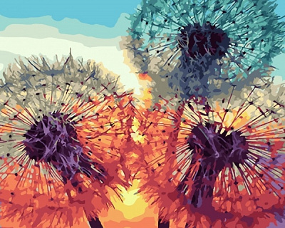 Картина по номерам Нежные одуванчики bk_1014 50x40 см BookOpt 