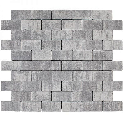 Бруківка Авеню 20х10х6 см платіна