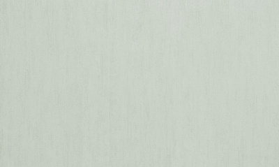 Шпалери вінілові на флізеліновій основі WallCOLOR W 152 C 06 1,06x10,05 м