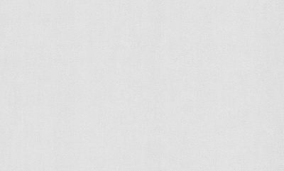 Шпалери вінілові на флізеліновій основі PROfhome РН 104 Р 10 1,06x10,05 м