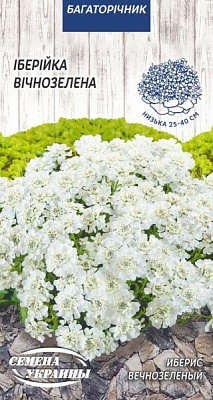 Семена Семена Украины иберис Вечнозеленая 0,1 г