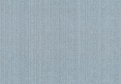 Шпалери вінілові на флізеліновій основі Vinil Денім ДХН-1421/6 1,06x10,05 м