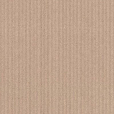 Шпалери вінілові гарячого тиснення Vinil Орландо СШТ 7-1220 1,06x10,05 м