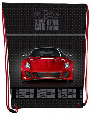 Сумка для обуви CLASS Red Car 46x33 см 2131C