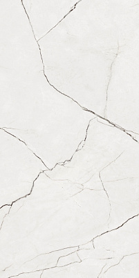 Плитка Allore Group Eleganza White F P R Full Lappato 60х120 см