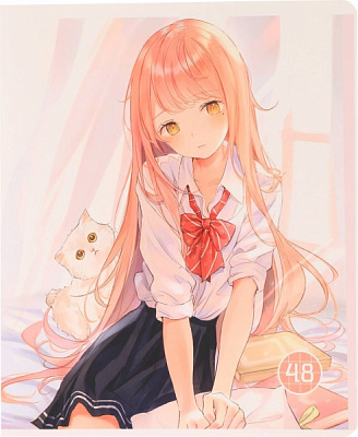 Тетрадь школьная Anime скоба 48 листов в клеточку Мечты сбываются