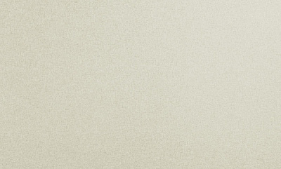 Шпалери вінілові на флізеліновій основі ASSORTI 900AS14 1,06x10,05 м