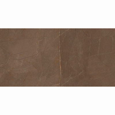 Плитка Allore Group Pulpis Brown W M NR Glossy 31x61