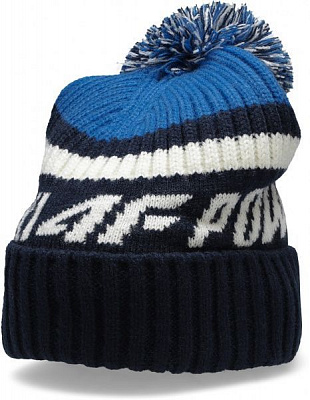 Шапка 4F J4Z20-JCAM214-31S OS синий