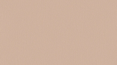 Шпалери вінілові на флізеліновій основі Sintra BOTANICA,TIMBERLAND UNI 524350 1,06x10,05 м