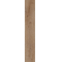 Плитка Allore Group Newcastle Gold F PR R Mat 19,8x120 