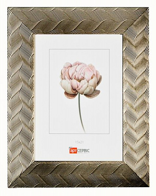 Рамка для фото Арт-Сервіс ЭА-01688 15x21 см сріблястий/сталь