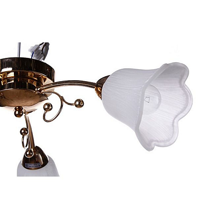 Люстра Accento Lighting Verona ALHu-HKC31238/3 золото