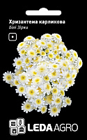 Семена LedaAgro хризантема карликовая Белые Звезды 0,2 г (4820119794852)