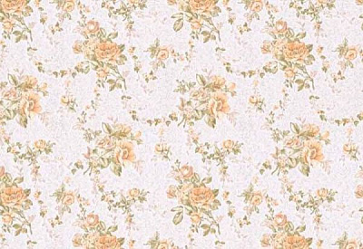 Обои Славянские обои COLORIT Арабис 6565-01 