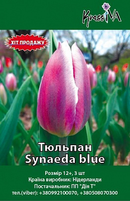 Луковица Тюльпан Synaeda blue 3 шт. 