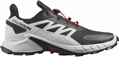 Кроссовки Salomon SUPERCROSS 4 L41736600 р.42 2/3 белый