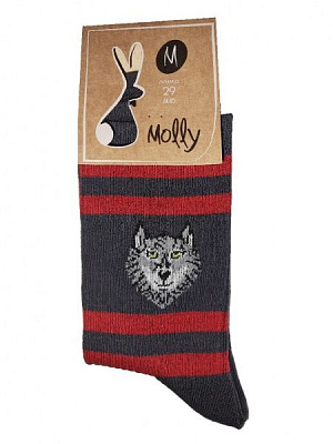 Шкарпетки чоловічі Молли Вовк р. 25 різнокольоровий 1 пар