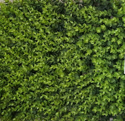 Штучний килимок 8002 600х400 мм зелений