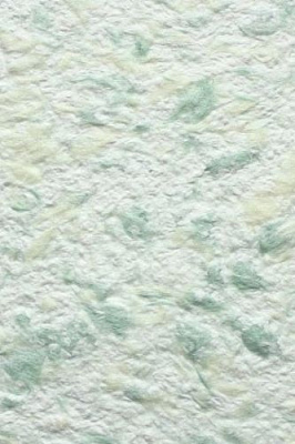 Жидкие обои Bioplast 313 1 кг 