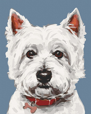 Картина по номерам Уайт терьер 11652-AC 40х50 см ArtCraft 