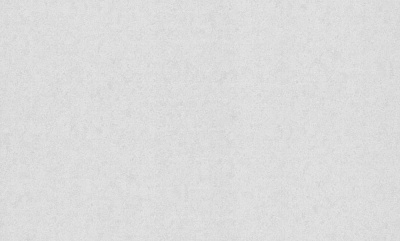 Шпалери вінілові на флізеліновій основі Bravo 81800BR07 1,06x10,05 м