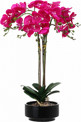Квітка штучна Орхідея рожева в чорному керамічному горщику 62 см