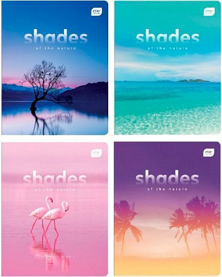 Тетрадь школьная 48 листов в клетку One color в ассортименте InterDRUK