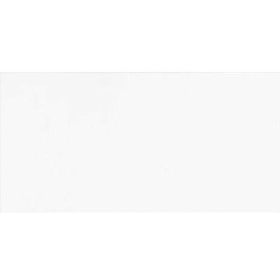 Плитка Атем Mono W 250х500 мм