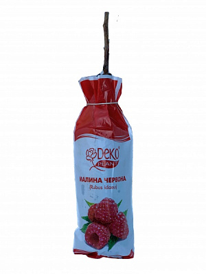 Саженец малина красная пакет