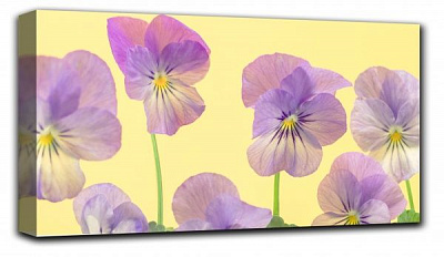 Репродукция AF20111108 Violets 018C02 28x50 см RozenfeldArt 