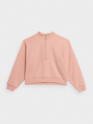 Світшот 4F SWEATSHIRT F594 4FSS23TSWSF594-56S р. XL рожевий
