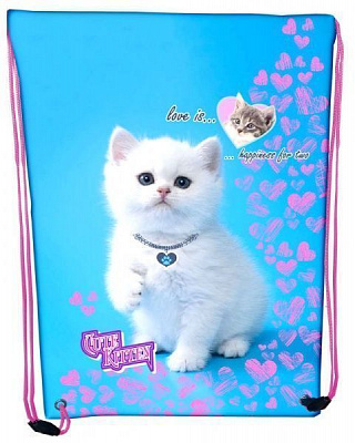 Сумка для взуття CLASS Cute kitten 46x33 см 2126C