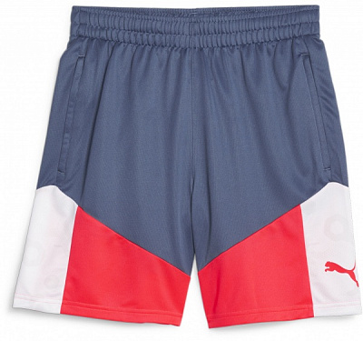Шорты Puma individualCUP Shorts 65848553 р. 2XL серый