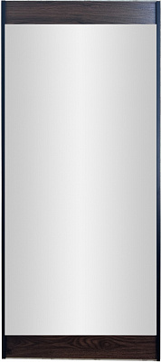 Дзеркало в алюмінієвій рамі 60х160 (ЕЗ-01003) TM30089