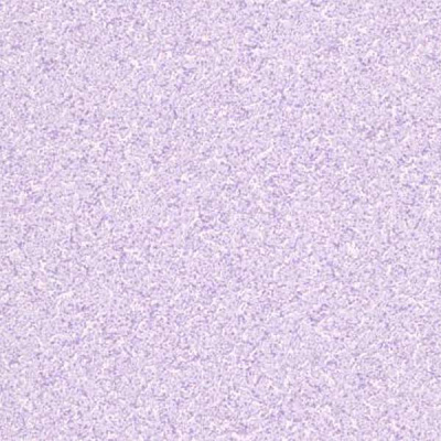 Славянские обои Kolorit B27.4 Вихрь 4062-06 0.53x10.05 м