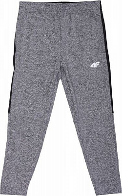 Штани 4F HJL20-JSPMTR001-23M р. 128 темно-сірий