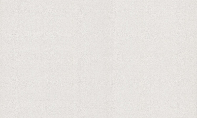 Шпалери вінілові на флізеліновій основі Bravo 81119BR03 1,06x10,05 м