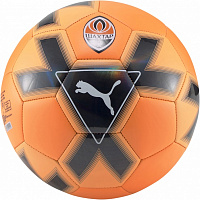 Футбольний м'яч Puma FCSD CAGE BALL 8381503 р.5