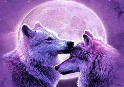 Набор для творчества со стразами на подрамнике Жизнь и мечты 40x50 см 189127 Діамантові ручки 