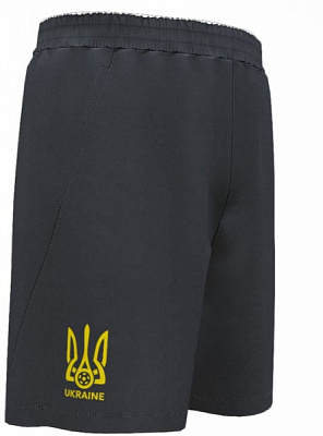 Шорти Joma FOOTBALL UKRAINE AT102369B331 р. S сірий