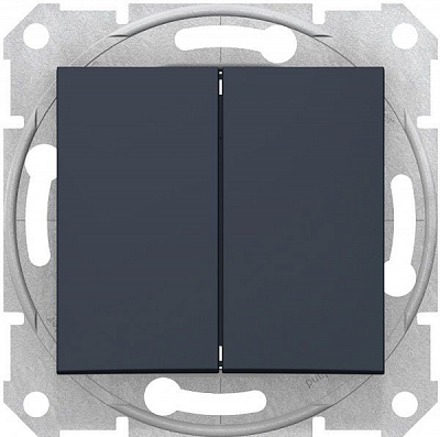 Вимикач двоклавішний Schneider Electric без підсвітки 10 А 250В графіт SDN0600170