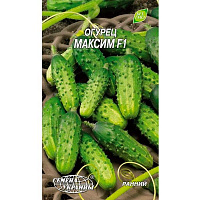 Насіння Семена Украины огірок Максим F1 0,5г