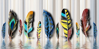 Репродукция Цветные перья 50x100 см Арт Фемелі 