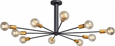 Люстра потолочная Vitaluce V4790-1/10PL 10x60 Вт E27 черный 