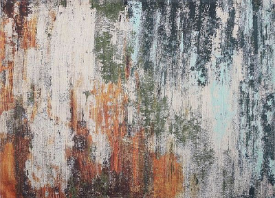 Ковер BMG Digital Printed C-3839 160x230