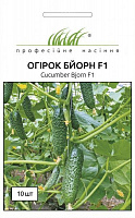 Насіння Професійне насіння огірок Бйорн F1 10 шт. (4820176693846)