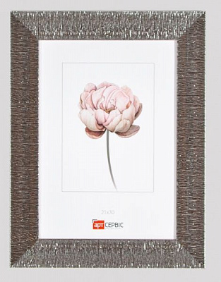 Рамка для фото Арт-Сервіс ЭА-01692 21х30 см коричневый с серебристым 